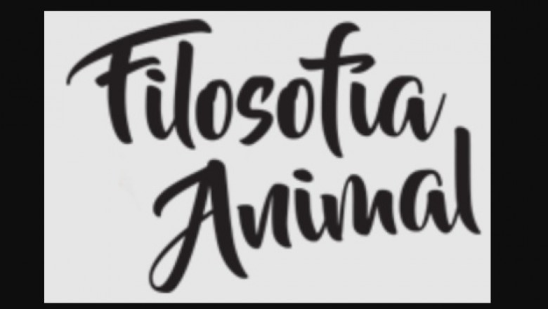 Dog Training - Every little thing You should Know!