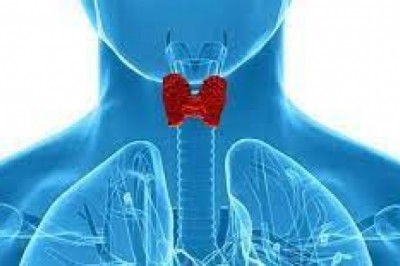 Growth of India's Thyroid Function Test is associated with a high prevalence of thyroid augmentations