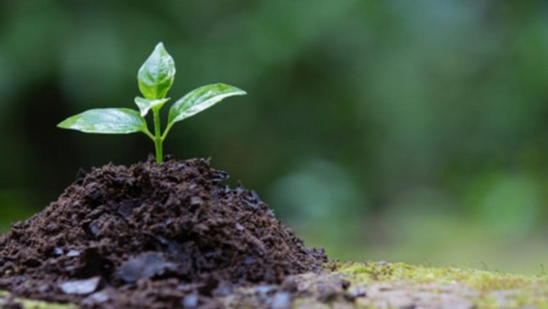 Agri Farms for Sale in Visakhapatnam | Agricultural Lands near Vizag - Sree Kavitha Agri Farms What is Sandalwood Agri Farming?