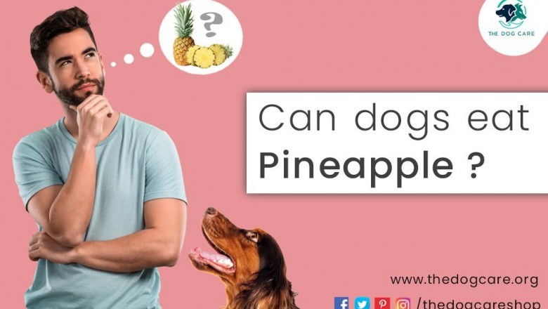 Can Dogs Eat Pineapple