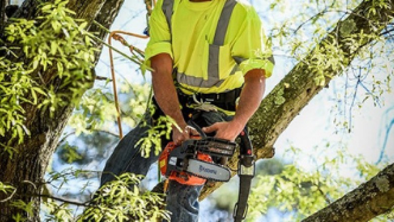 Pass Christian Tree Removal - Acadian Tree and Stump Removal Service
