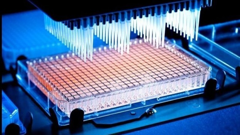 Global High Throughput Screening Market SWOT Analysis, Key Indicators and Forecast To 2028