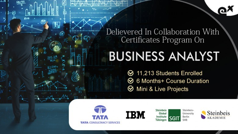 Professional Training Business Analyst Course