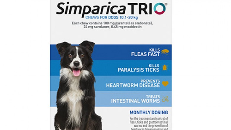 Simparica TRIO For Medium Dogs 10.1 - 20Kg Blue | DiscountPetCare