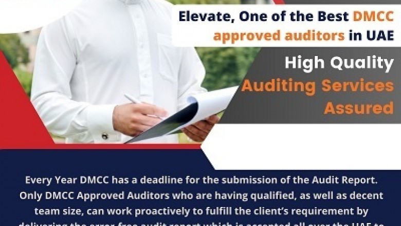 Auditors in DMCC
