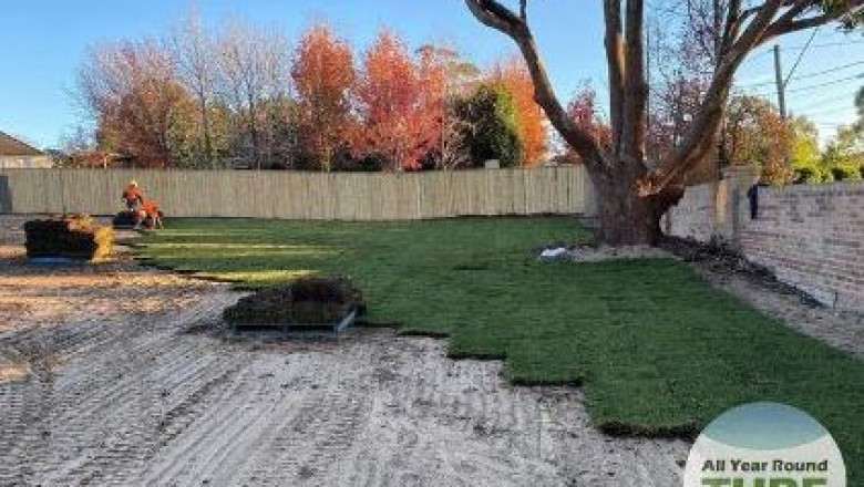 Synthetic Turf