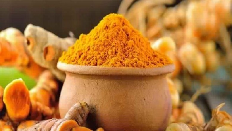 Turmeric Oleoresin Market Share Analysis