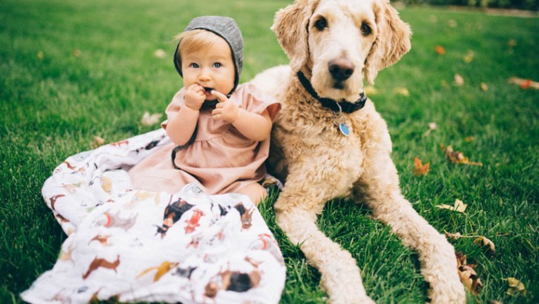 4 Alternative Uses for a Muslin Baby Blanket