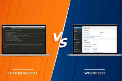 Select between custom WebDevelopment and WordPress?