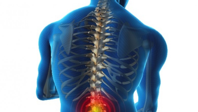 What Do You need to Know About Back Pain?
