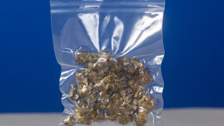 10 Astounding Facts About Magic Truffles