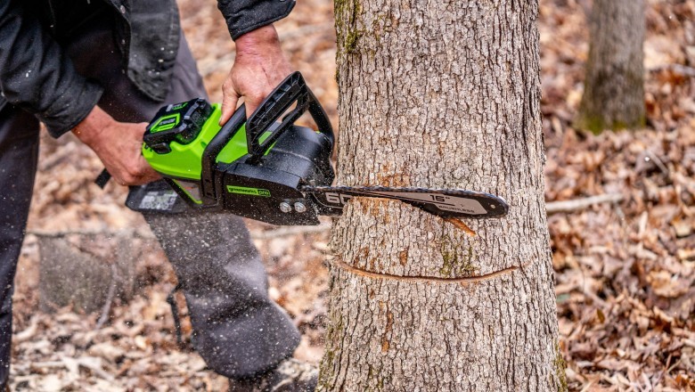 Chopping Down Your First Tree? Keep These 3 Things in Mind
