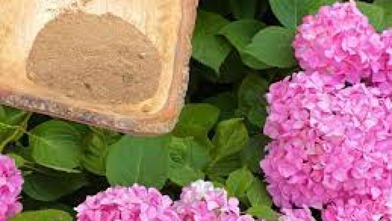 Flower Pollen Benefits