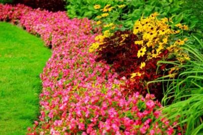 Best Cypress Landscapers | Professional Landscaping Designs