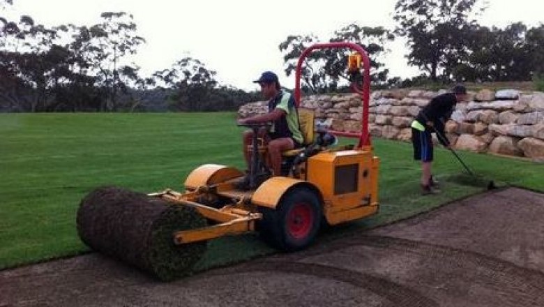 Bermuda Grass for Gardens