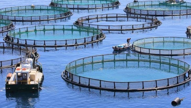 Global Aquaculture Market - Outlook and Forecast 2021-2027