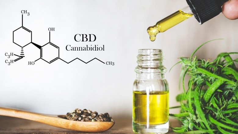 Veterinary Cbd Market Industry Growth, Demand, Segmentation, Developments, Competitive Landscape and Regional Outlook 2027 | Key Players Honest Paw, HolistaPet | By Region, By Product | USD 125 million by the end of the year
