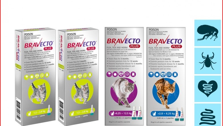 BRAVECTO PLUS Heartworm Flea Tick and Worm Treatment for Cats