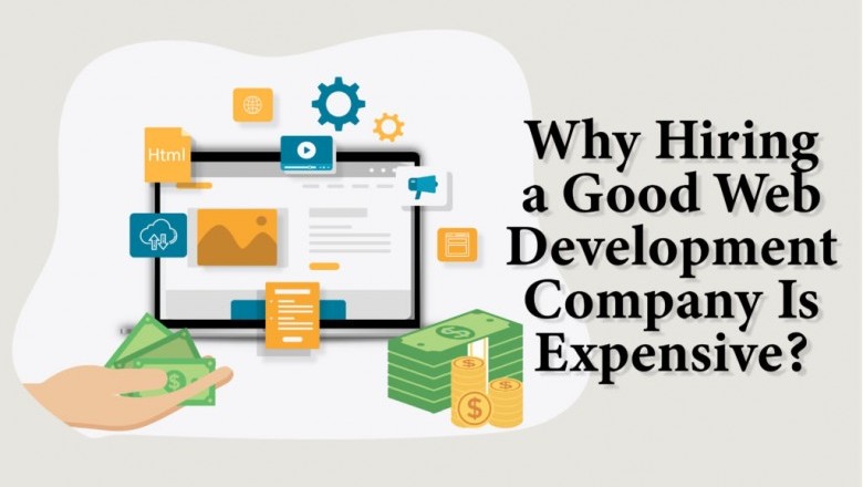 Why hiring a good web development company is expensive?
