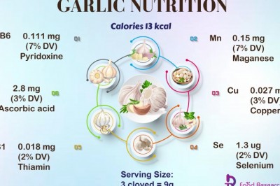 Global research and market analysis on Garlic  |Foodresearchlab