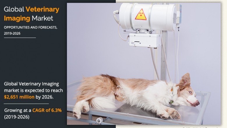Veterinary Imaging Market Revenue to Register Robust Growth Rate during 2026