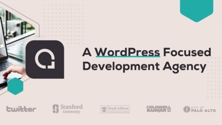 Wordpress Development Expert