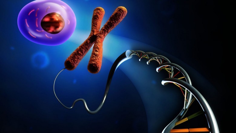 Recombinant DNA Technology Market Analysis Growing Rapidly With Latest Trends, Development, Revenue, Demand And Forecast To 2027 | Eli Lilly and Company (U.S.), Merck & Co., Inc. (U.S.), Boehringer Ingelheim (Germany), Biogen