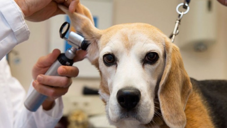 Veterinary Software Market Revenue Analysis, Business Insights, Developments and Opportunity Assessment by 2027 | Animal Intelligence Software (US), Britton's Wise Computers Inc (US), VetBlue (US), VIA Information Systems (US