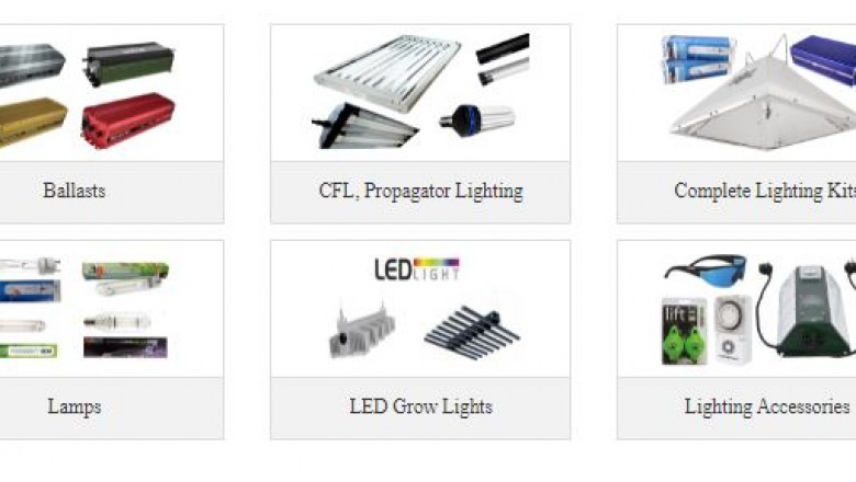 How Did Indoor Gardens In London Become the Best? Find Out