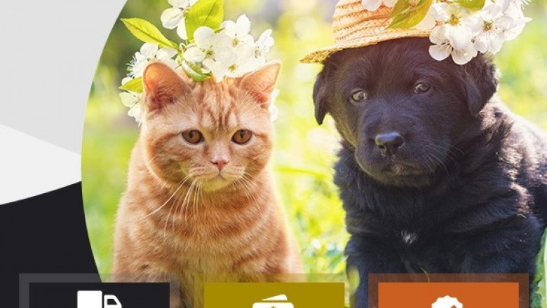 Mypetsupplies- Spring sale for any pet products on eBay