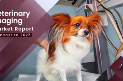 Veterinary Imaging Market Demand, Global Manufacturers, Top Key Leaders and Forecast to 2027 | Fujifilm Holding Corporation, Carestream Health, BCF Technology Ltd, and Idexx Laboratories Inc