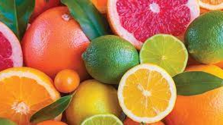 Citrus Bioflavonoids Market by Application, Type, Services, Technologies, Statistics, Emerging Trends