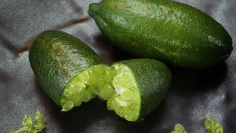 Growth Of Australia Lime Market Projected To Amplify During 2027