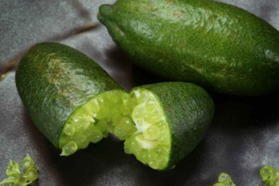 Growth Of Australia Lime Market Projected To Amplify During 2027