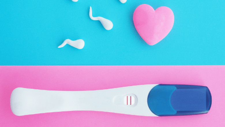 Ovulation Calculator