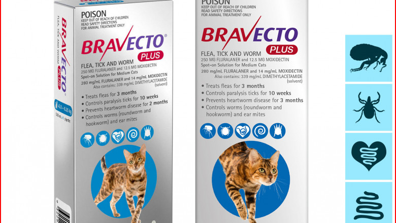 BRAVECTO PLUS BLUE for Cats