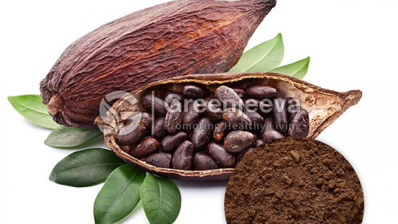 Bulk Organic Cacao Powder Supplier | Organic Cacao Powder suppliers