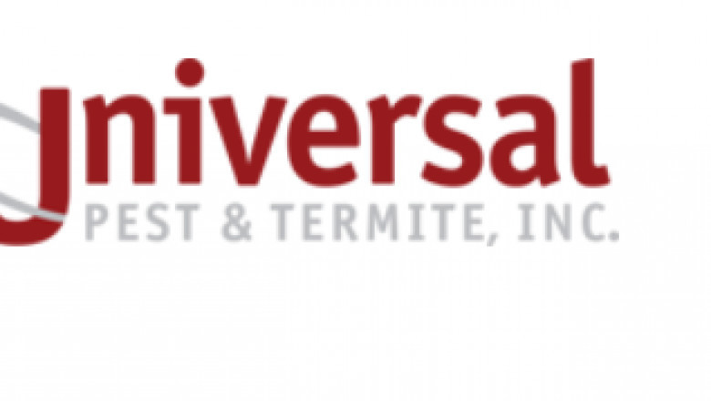 Termite Inspection Near Me