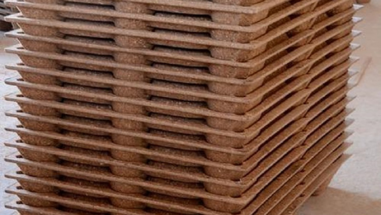 Analysis and Insights of Molded Wood Pallets Market