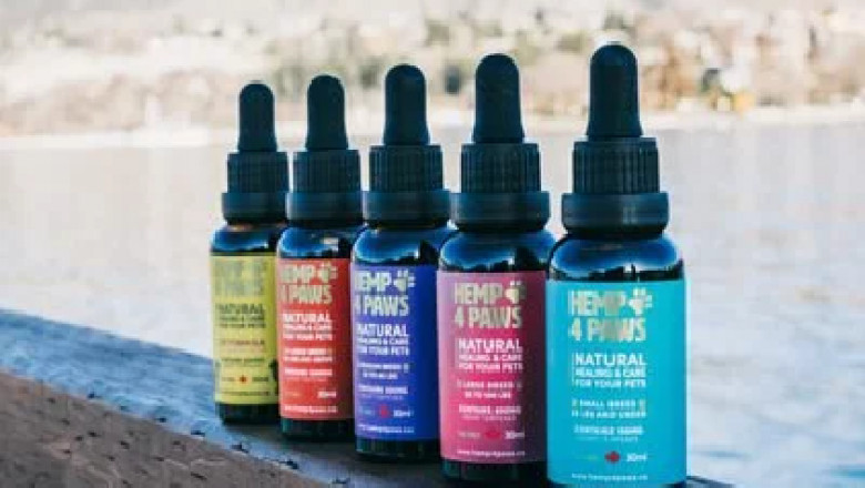 Hemp4Paws.Asia