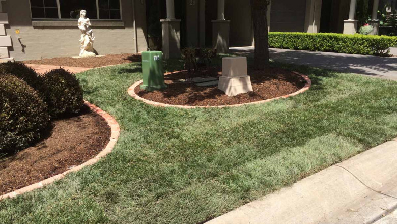 How is Hedge Trimming Service from Semms Property Services Beneficial?