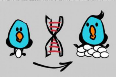 Animal Genetics Market Dynamics, Forecast, Analysis And Supply Demand 2027 | Hendrix Genetics BV (The Netherland), Animal Genetics (US), Alta Genetics (US)