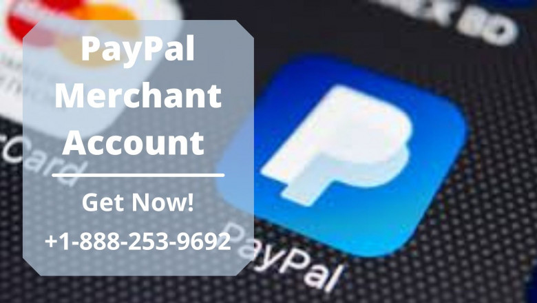 Learn Everything About PayPal Merchant Account