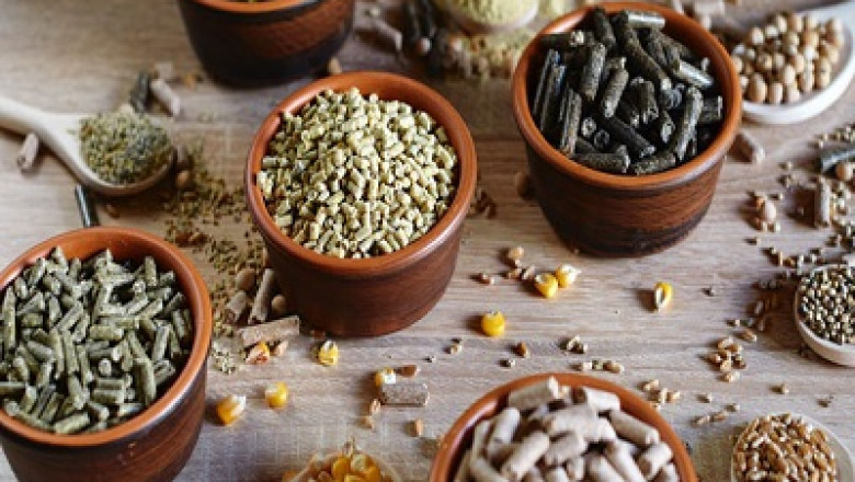 Compound Feed Market To Grow With an Impressive CAGR During the Forecast Period