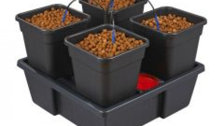 Getting Started With Hydroponics Gardening