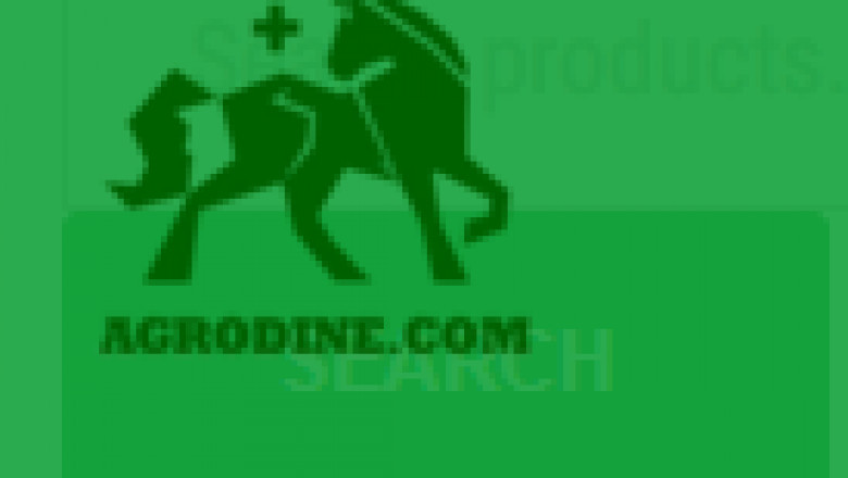 How To Choose The Best Delta 8 THC Cartridge