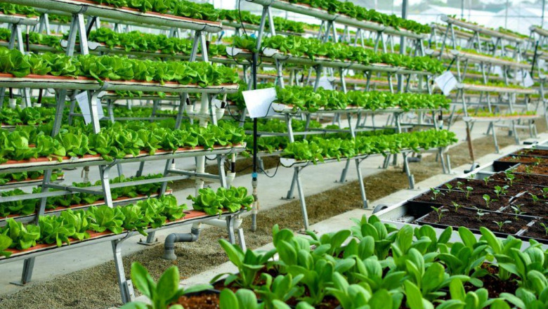 Indoor Farming Market To Grow With Modernizing Agro-Industry During the Forecast Period