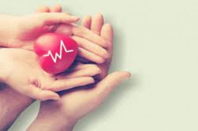 Paresthesia Treatment Market Report | Size, Growth, Demand, Scope, Opportunities and Forecast to 2027