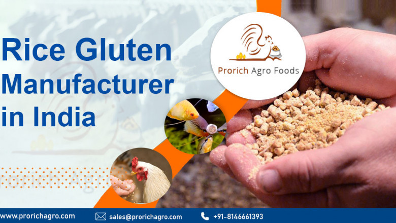 Rice Gluten Manufacturers & Suppliers in India
