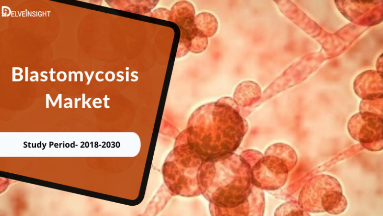 What is Blastomycosis Market?